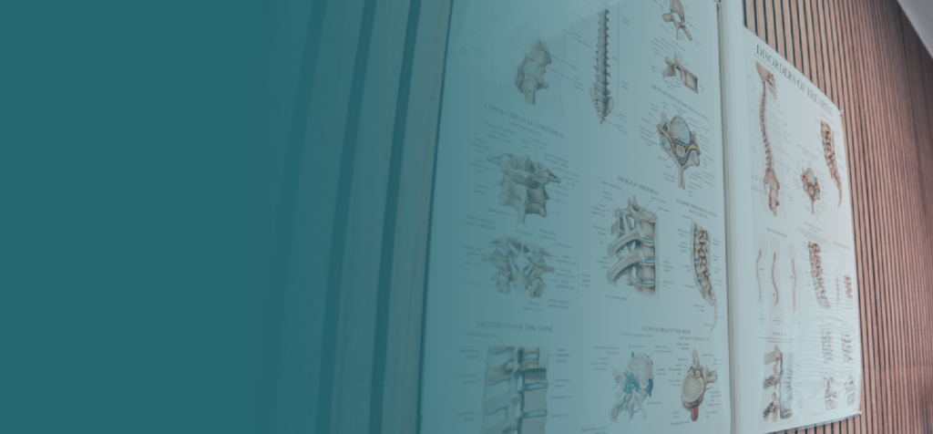 Hoskins Banners skeleton diagram